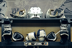 family –  – Fansite for Kris Letang of the